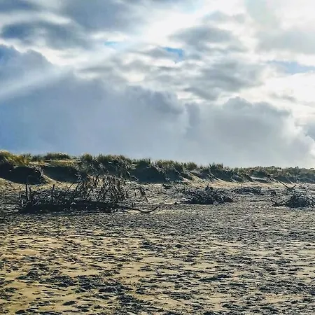 Maisonnette A 50m De La Plage,au Coeur De Ronce Lb * La Tremblade